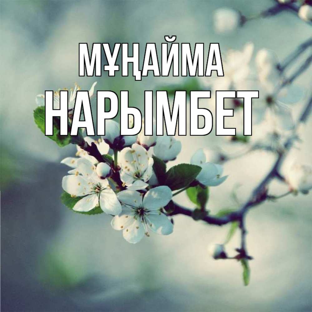 Күн сайын ашық хат с именем, Нарымбет Мұңайма яблоня в цвету 1 Онлайн тегін жүктеп алу тілектері бар керемет карта 