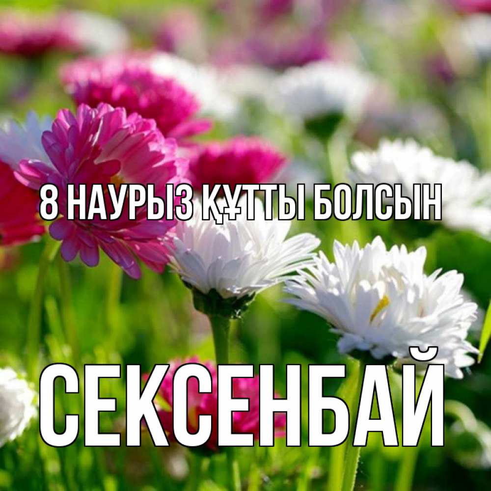 Күн сайын ашық хат с именем, СЕКСЕНБАЙ 8 наурыз құтты болсын международный женский день 1 Онлайн тегін жүктеп алу тілектері бар керемет карта 
