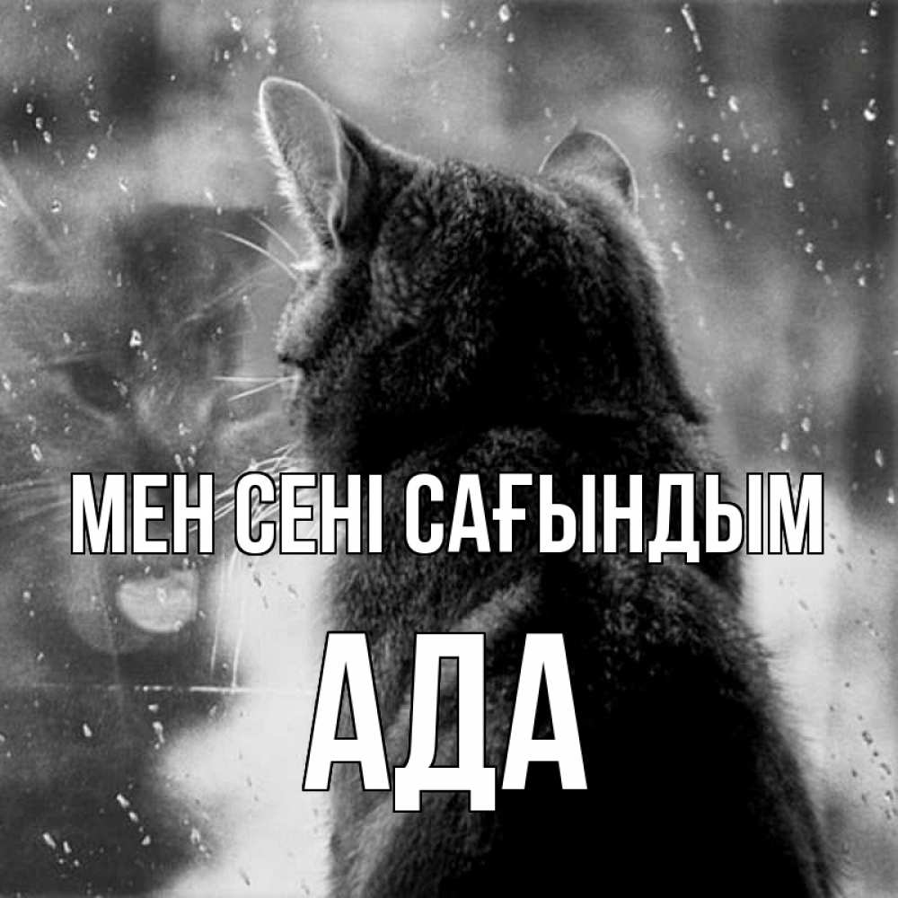 Күн сайын ашық хат с именем, Ада Мен сені сағындым скорее ко мне приходи 1 Онлайн тегін жүктеп алу тілектері бар керемет карта 