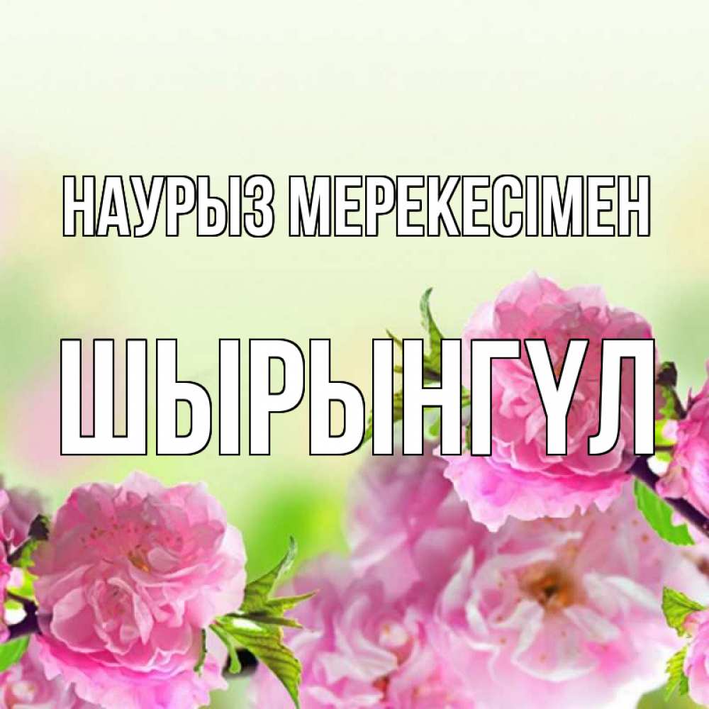 Күн сайын ашық хат с именем, ШЫРЫНГҮЛ Наурыз мерекесімен цветы Онлайн тегін жүктеп алу тілектері бар керемет карта 