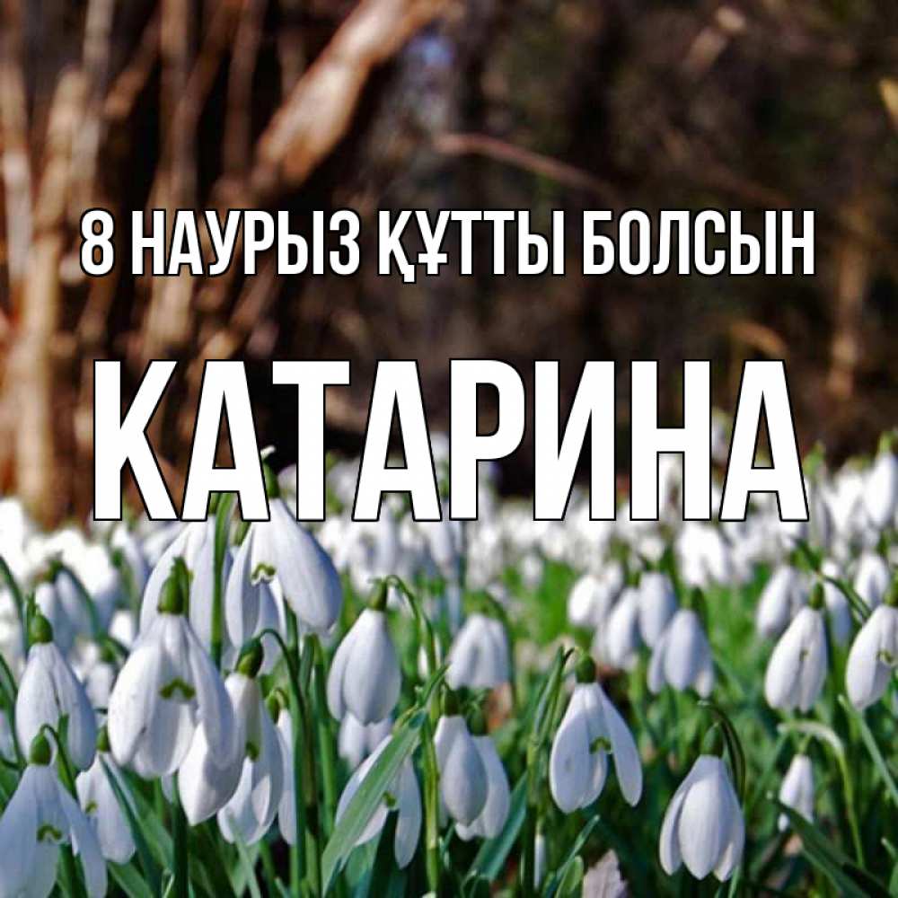 Күн сайын ашық хат с именем, Катарина 8 наурыз құтты болсын с подснежниками 1 Онлайн тегін жүктеп алу тілектері бар керемет карта 