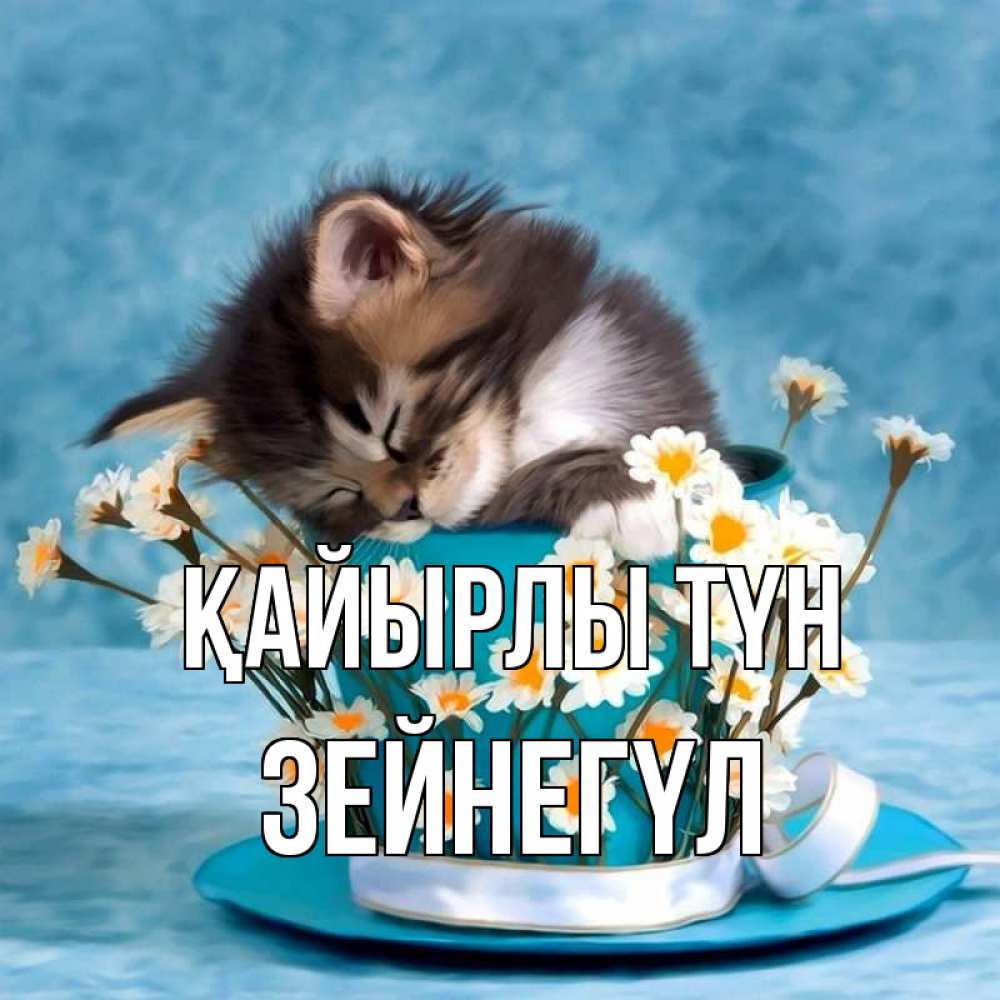 Күн сайын ашық хат с именем, ЗЕЙНЕГҮЛ Қайырлы түн котенок спит в кружке с блюдцем Онлайн тегін жүктеп алу тілектері бар керемет карта 