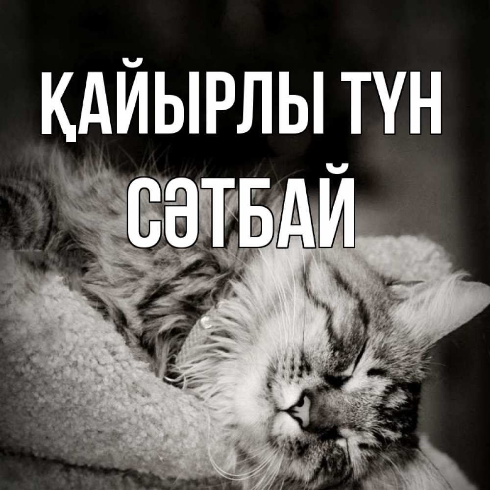 Күн сайын ашық хат с именем, СӘТБАЙ Қайырлы түн котярик пушистый Онлайн тегін жүктеп алу тілектері бар керемет карта 