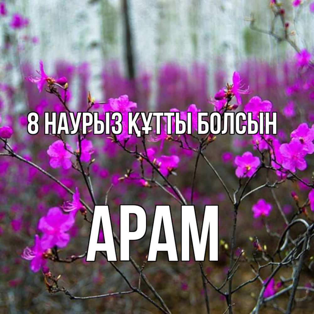 Күн сайын ашық хат с именем, Арам 8 наурыз құтты болсын дикие цветы Онлайн тегін жүктеп алу тілектері бар керемет карта 