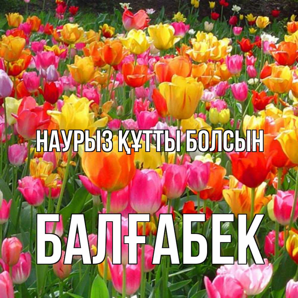 Күн сайын ашық хат с именем, Балғабек Наурыз құтты болсын на наурыз  ура ура Онлайн тегін жүктеп алу тілектері бар керемет карта 