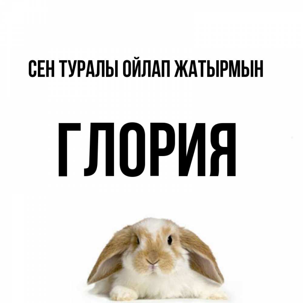Күн сайын ашық хат с именем, Глория Сен туралы ойлап жатырмын подписать своими руками онлайн Онлайн тегін жүктеп алу тілектері бар керемет карта 