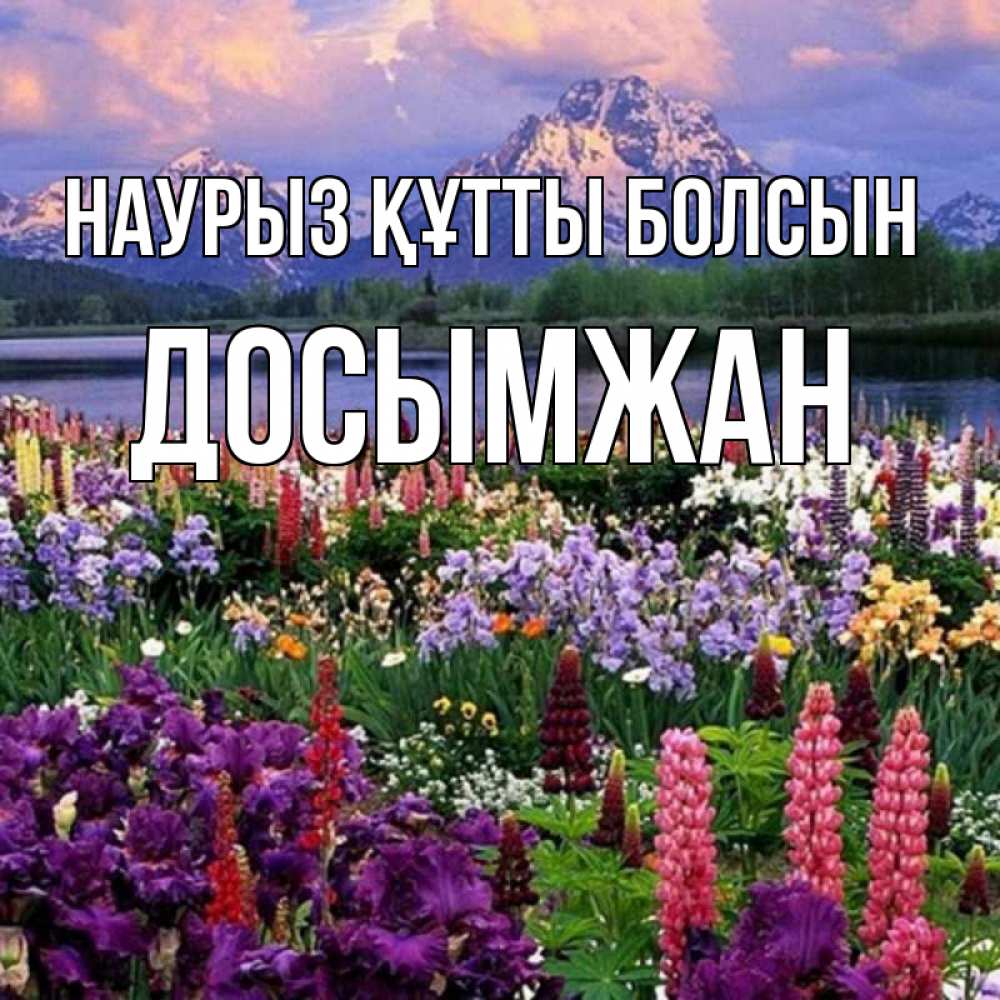 Күн сайын ашық хат с именем, Досымжан Наурыз құтты болсын наурыз Онлайн тегін жүктеп алу тілектері бар керемет карта 