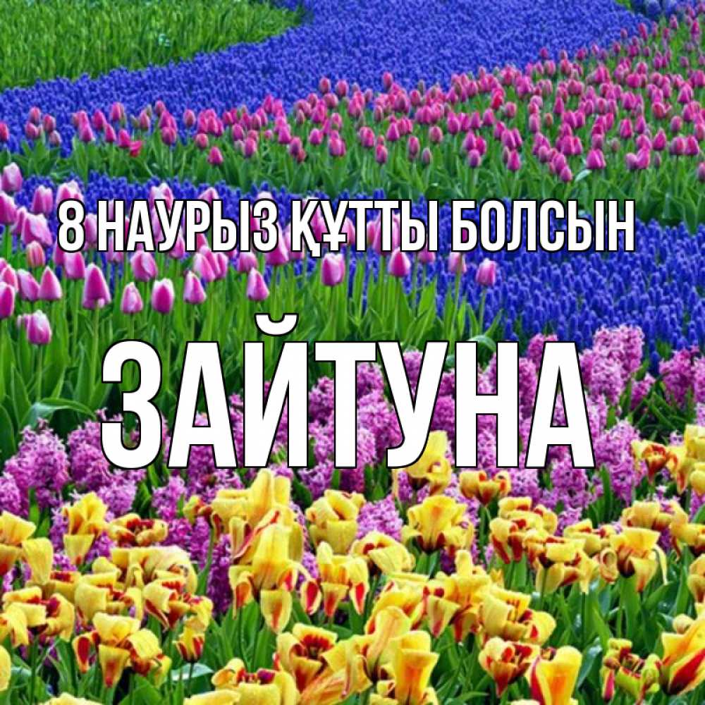 Күн сайын ашық хат с именем, ЗАЙТУНА 8 наурыз құтты болсын цветы Онлайн тегін жүктеп алу тілектері бар керемет карта 