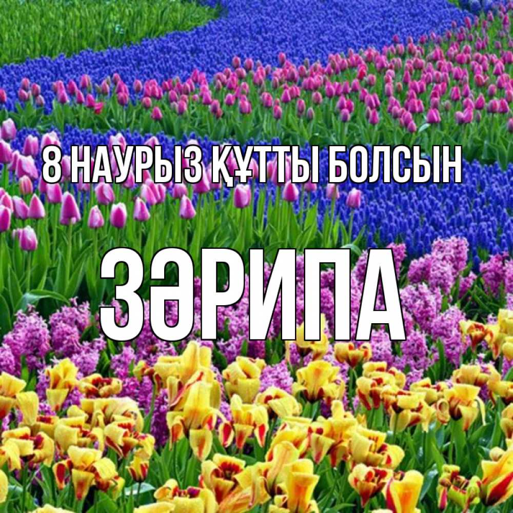 Күн сайын ашық хат с именем, ЗӘРИПА 8 наурыз құтты болсын цветы Онлайн тегін жүктеп алу тілектері бар керемет карта 