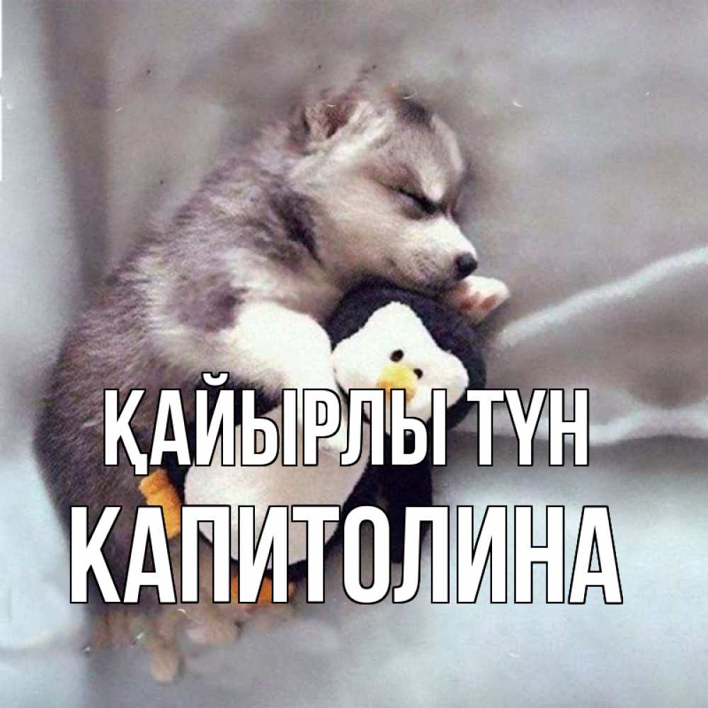 Күн сайын ашық хат с именем, Капитолина Қайырлы түн обнимашки щенка и пингвина Онлайн тегін жүктеп алу тілектері бар керемет карта 
