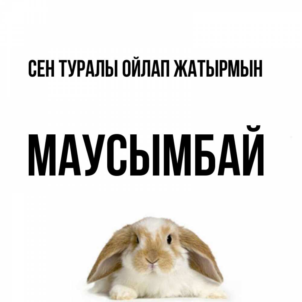 Күн сайын ашық хат с именем, МАУСЫМБАЙ Сен туралы ойлап жатырмын подписать своими руками онлайн Онлайн тегін жүктеп алу тілектері бар керемет карта 