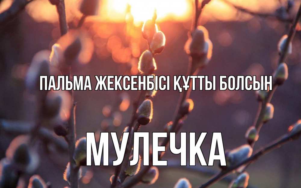 Күн сайын ашық хат с именем, Мулечка Пальма жексенбісі құтты болсын верба Онлайн тегін жүктеп алу тілектері бар керемет карта 