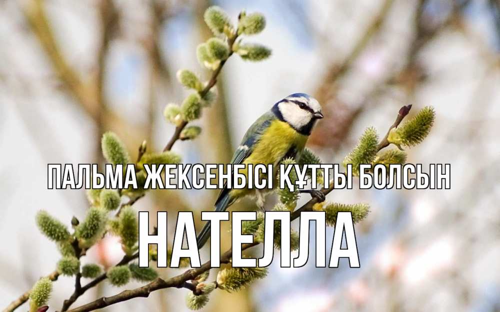 Күн сайын ашық хат с именем, Нателла Пальма жексенбісі құтты болсын верба Онлайн тегін жүктеп алу тілектері бар керемет карта 