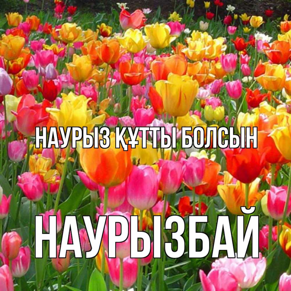 Күн сайын ашық хат с именем, Наурызбай Наурыз құтты болсын на наурыз  ура ура Онлайн тегін жүктеп алу тілектері бар керемет карта 
