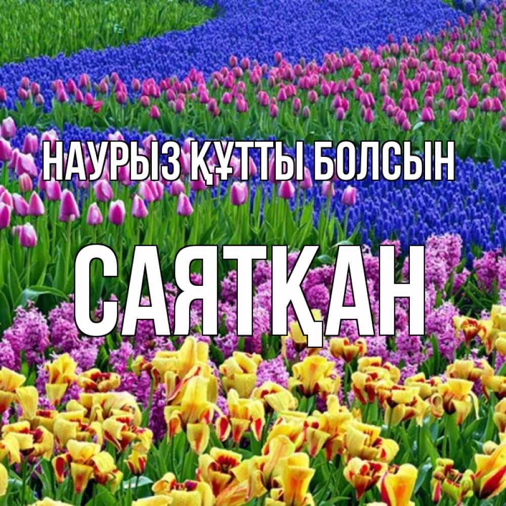 Күн сайын ашық хат с именем, САЯТҚАН Наурыз құтты болсын цветы Онлайн тегін жүктеп алу тілектері бар керемет карта 