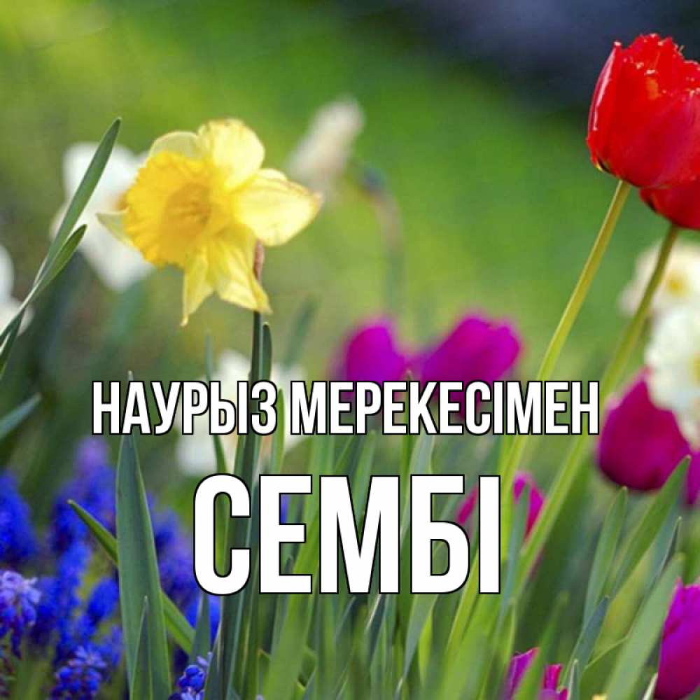 Күн сайын ашық хат с именем, СЕМБІ Наурыз мерекесімен праздник весны наурыз 3 Онлайн тегін жүктеп алу тілектері бар керемет карта 