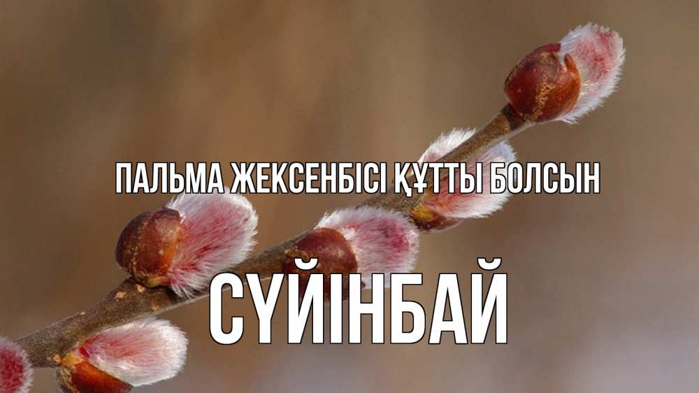 Күн сайын ашық хат с именем, СҮЙІНБАЙ Пальма жексенбісі құтты болсын верба Онлайн тегін жүктеп алу тілектері бар керемет карта 