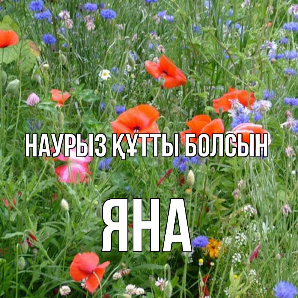 Күн сайын ашық хат с именем, Яна Наурыз құтты болсын наурыз  4 Онлайн тегін жүктеп алу тілектері бар керемет карта 