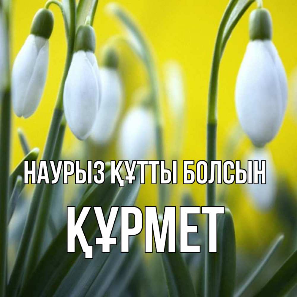 Күн сайын ашық хат с именем, ҚҰРМЕТ Наурыз құтты болсын весенние цветы Онлайн тегін жүктеп алу тілектері бар керемет карта 