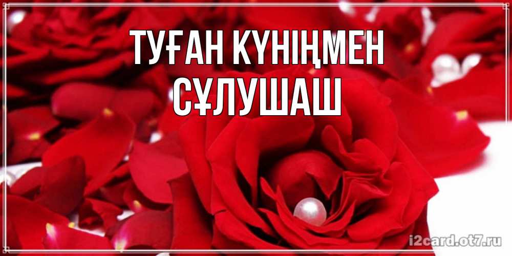 Күн сайын ашық хат с именем, СҰЛУШАШ Туған күніңмен роза с жемчужиной на открытке для любимых Онлайн тегін жүктеп алу тілектері бар керемет карта 