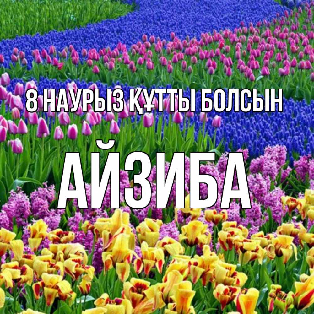 Күн сайын ашық хат с именем, АЙЗИБА 8 наурыз құтты болсын цветы Онлайн тегін жүктеп алу тілектері бар керемет карта 