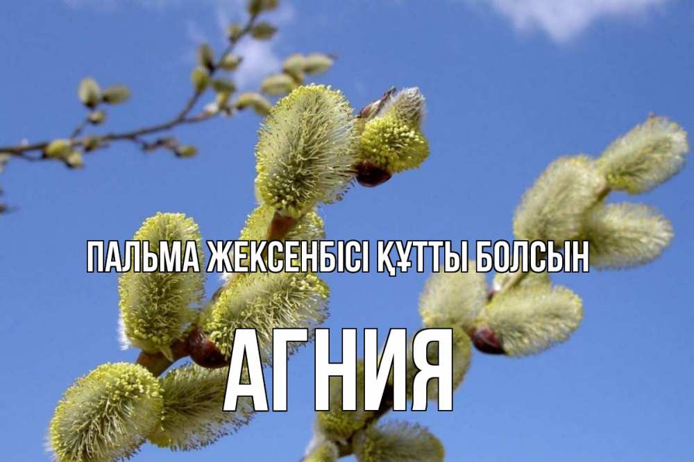 Күн сайын ашық хат с именем, Агния Пальма жексенбісі құтты болсын верба Онлайн тегін жүктеп алу тілектері бар керемет карта 