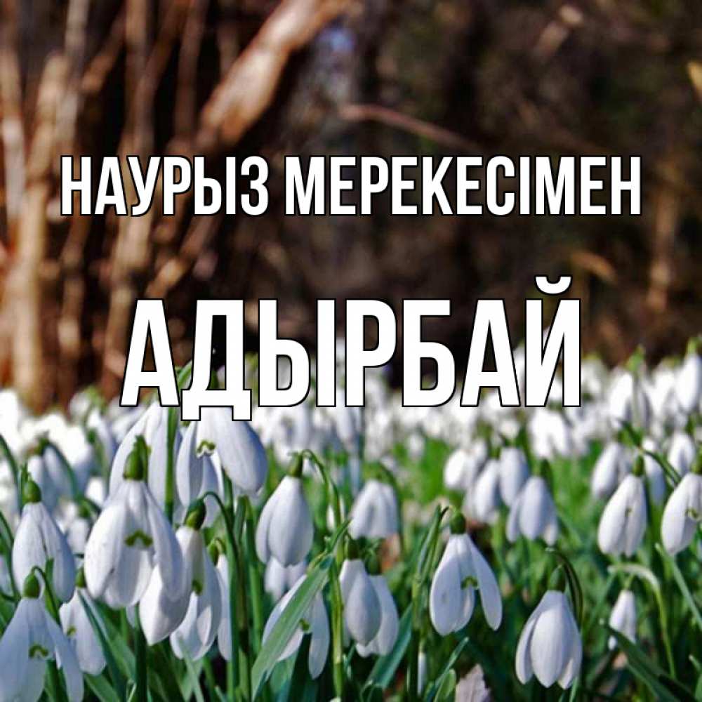 Күн сайын ашық хат с именем, Адырбай Наурыз мерекесімен с подснежниками 1 Онлайн тегін жүктеп алу тілектері бар керемет карта 