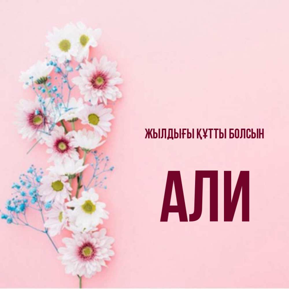 Күн сайын ашық хат с именем, Али Жылдығы құтты болсын Родная моя с днем рождения тебя картинка с цветами белыми и голубыми Онлайн тегін жүктеп алу тілектері бар керемет карта 