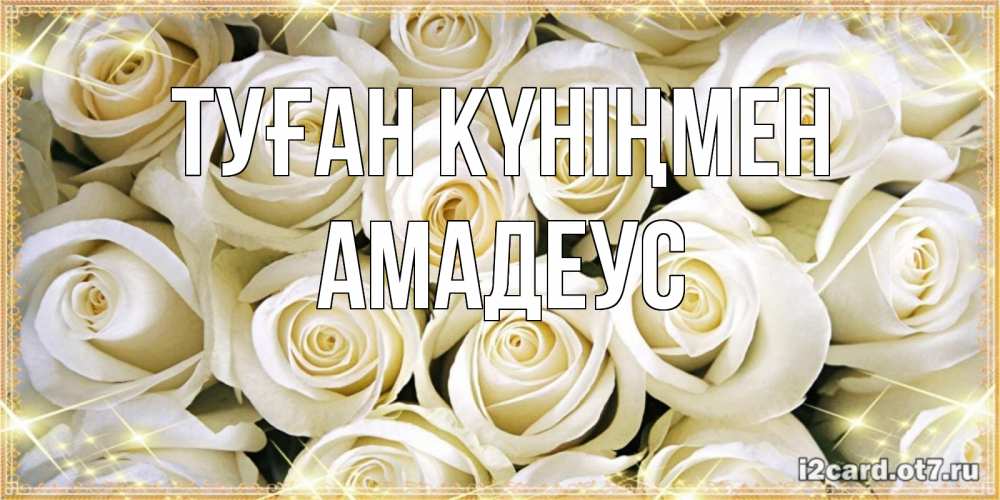 Күн сайын ашық хат с именем, Амадеус Туған күніңмен открытка с белыми розами. большой букет белых роз Онлайн тегін жүктеп алу тілектері бар керемет карта 