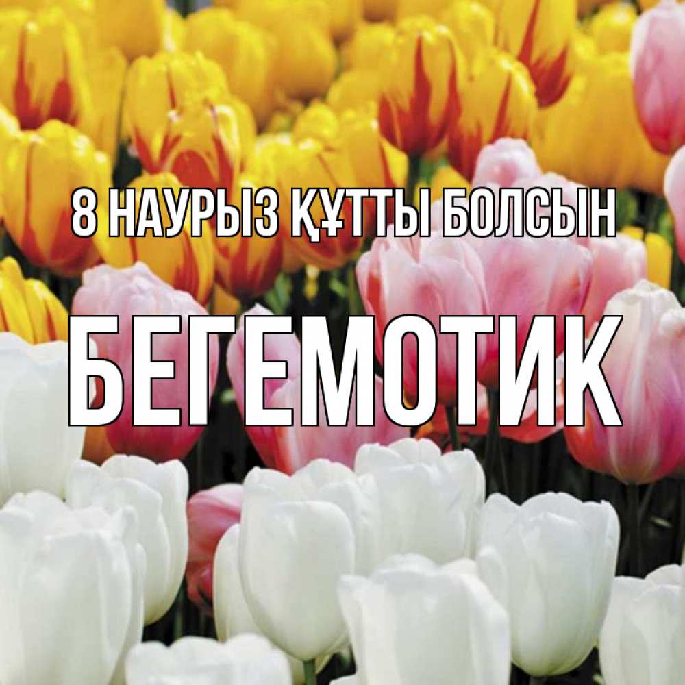 Күн сайын ашық хат с именем, Бегемотик 8 наурыз құтты болсын разноцветные цветы Онлайн тегін жүктеп алу тілектері бар керемет карта 