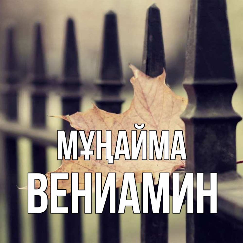 Күн сайын ашық хат с именем, Вениамин Мұңайма лист клена Онлайн тегін жүктеп алу тілектері бар керемет карта 