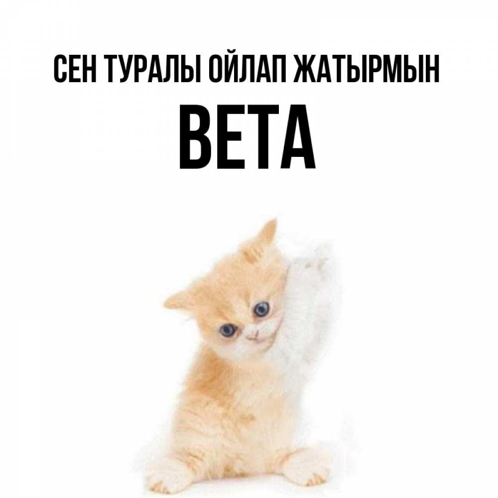 Күн сайын ашық хат с именем, Вета Сен туралы ойлап жатырмын зверушки и милота Онлайн тегін жүктеп алу тілектері бар керемет карта 