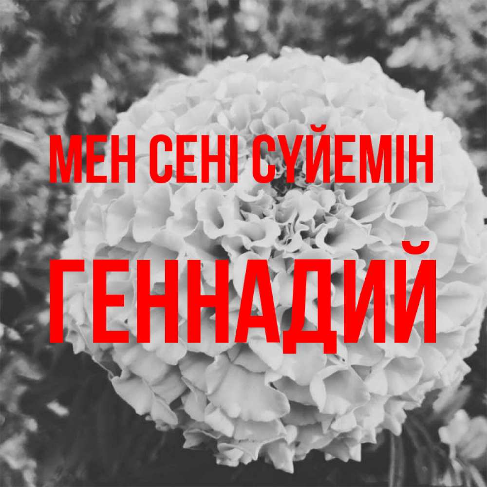 Күн сайын ашық хат с именем, Геннадий Мен сені сүйемін подпись Онлайн тегін жүктеп алу тілектері бар керемет карта 
