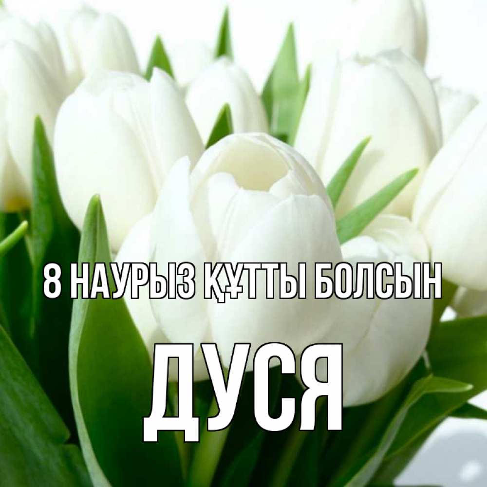 Күн сайын ашық хат с именем, Дуся 8 наурыз құтты болсын цветы Онлайн тегін жүктеп алу тілектері бар керемет карта 