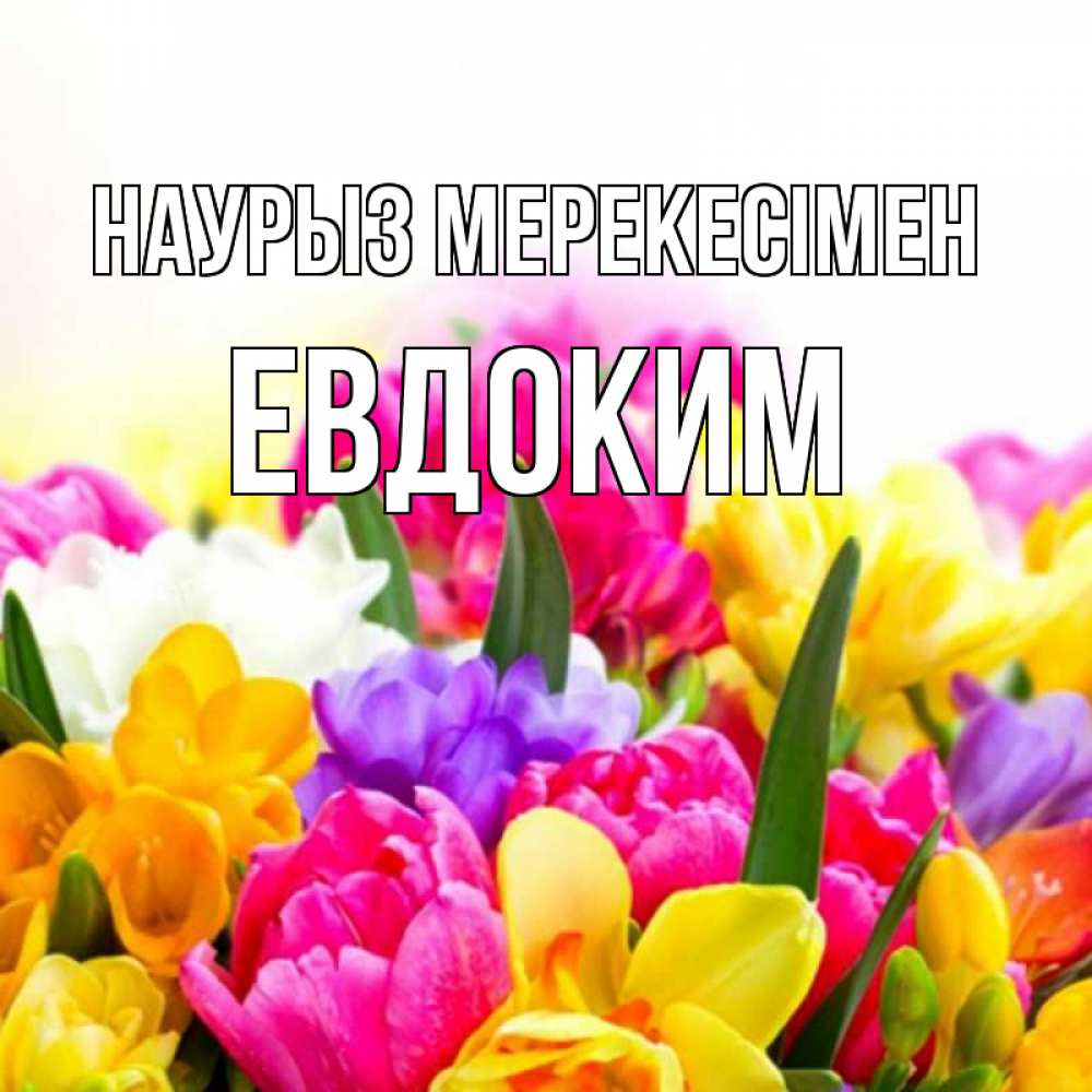 Күн сайын ашық хат с именем, Евдоким Наурыз мерекесімен тюльпаны Онлайн тегін жүктеп алу тілектері бар керемет карта 