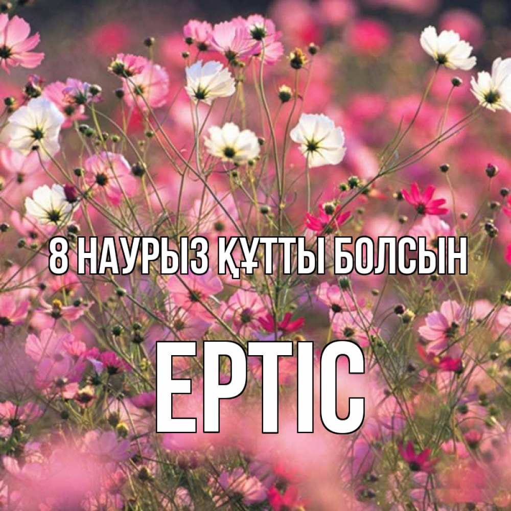 Күн сайын ашық хат с именем, Ертіс 8 наурыз құтты болсын красиво 1 Онлайн тегін жүктеп алу тілектері бар керемет карта 