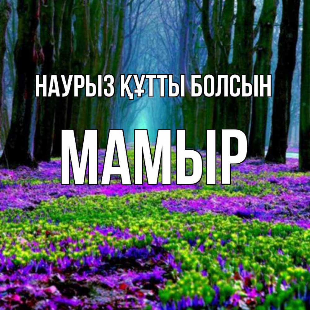 Күн сайын ашық хат с именем, МАМЫР Наурыз құтты болсын фиолетовые цветы в лесу 1 Онлайн тегін жүктеп алу тілектері бар керемет карта 