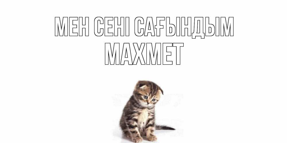 Күн сайын ашық хат с именем, МАХМЕТ Мен сені сағындым кот Онлайн тегін жүктеп алу тілектері бар керемет карта 