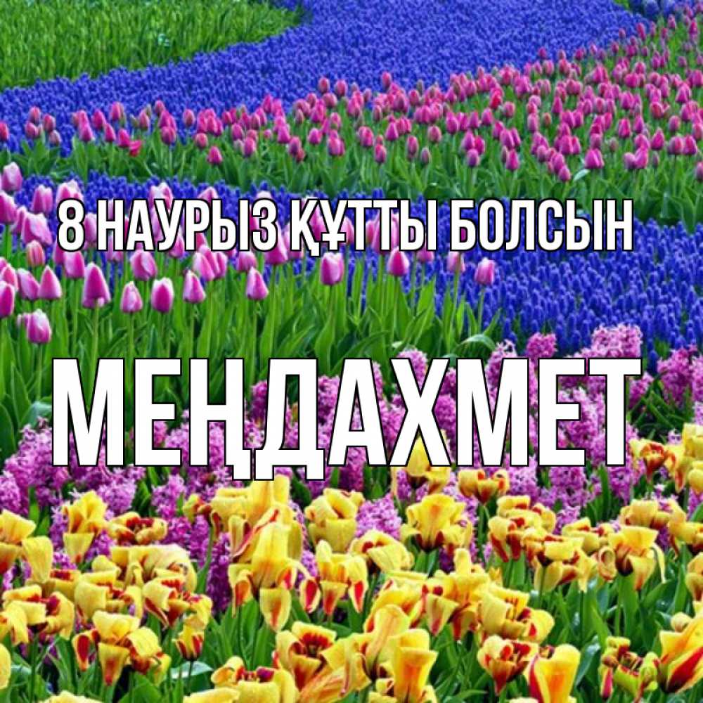 Күн сайын ашық хат с именем, МЕҢДАХМЕТ 8 наурыз құтты болсын цветы Онлайн тегін жүктеп алу тілектері бар керемет карта 