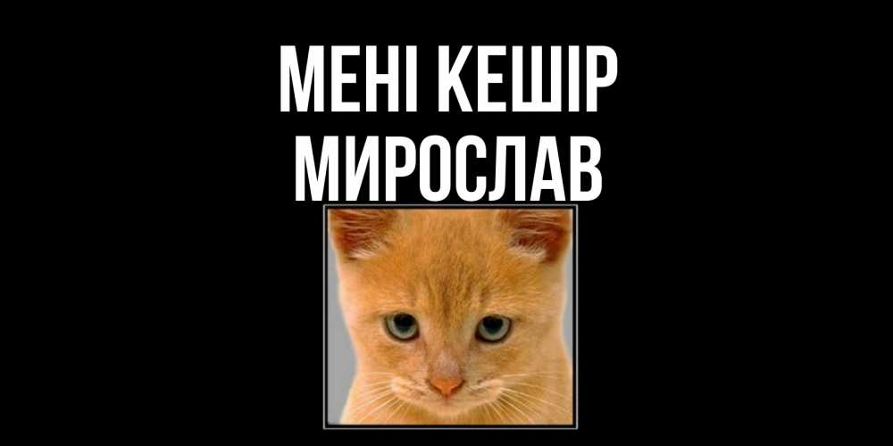 Күн сайын ашық хат с именем, Мирослав Мені кешір рыжий грустный кот просит прощения Онлайн тегін жүктеп алу тілектері бар керемет карта 