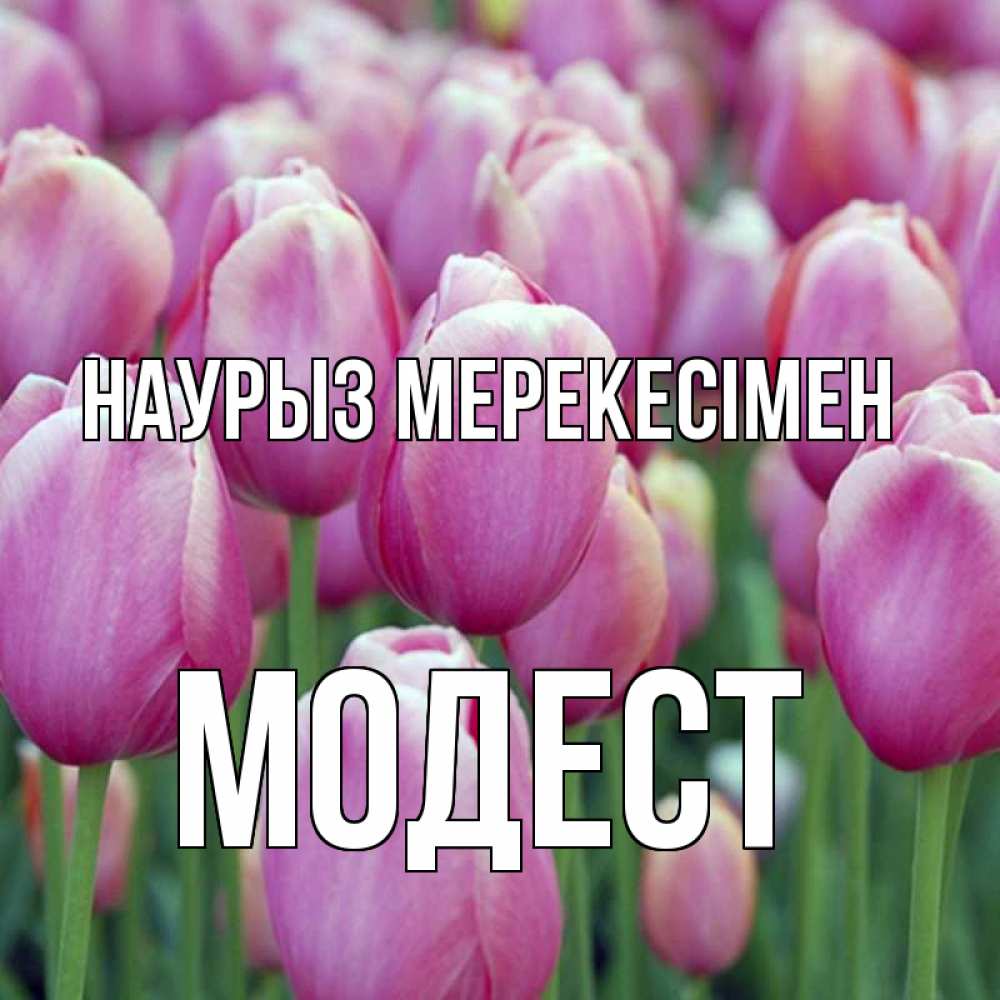 Күн сайын ашық хат с именем, Модест Наурыз мерекесімен праздник весны наурыз 69 Онлайн тегін жүктеп алу тілектері бар керемет карта 