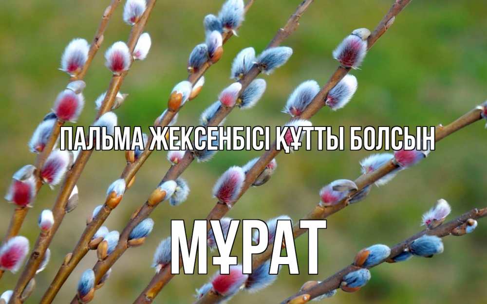 Күн сайын ашық хат с именем, МҰРАТ Пальма жексенбісі құтты болсын верба Онлайн тегін жүктеп алу тілектері бар керемет карта 