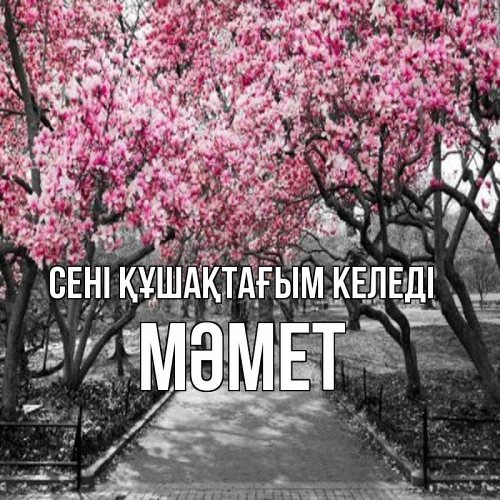Күн сайын ашық хат с именем, Мәмет сені құшақтағым келеді обработанное фото Онлайн тегін жүктеп алу тілектері бар керемет карта 