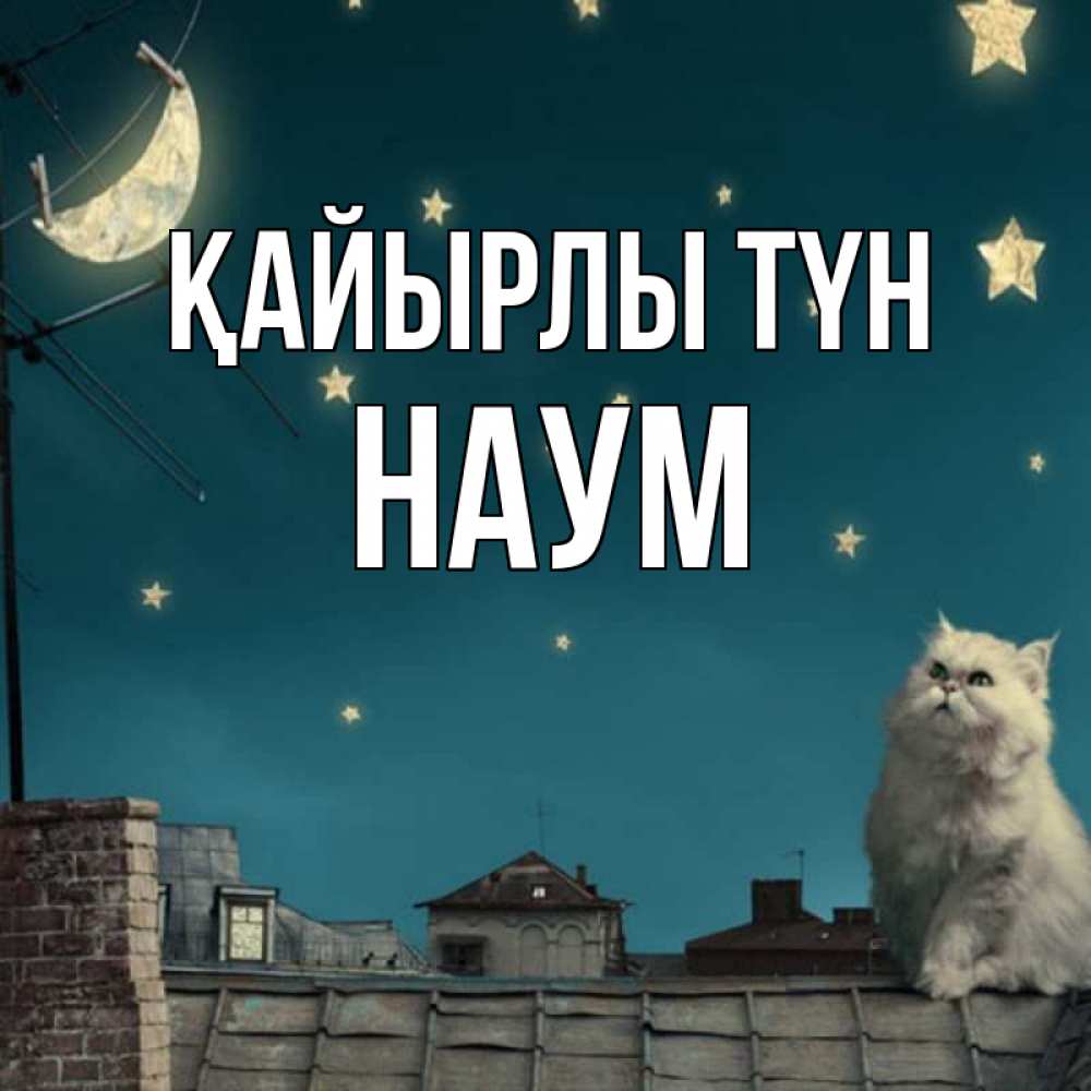 Күн сайын ашық хат с именем, Наум Қайырлы түн белый кот сидит на крыше Онлайн тегін жүктеп алу тілектері бар керемет карта 