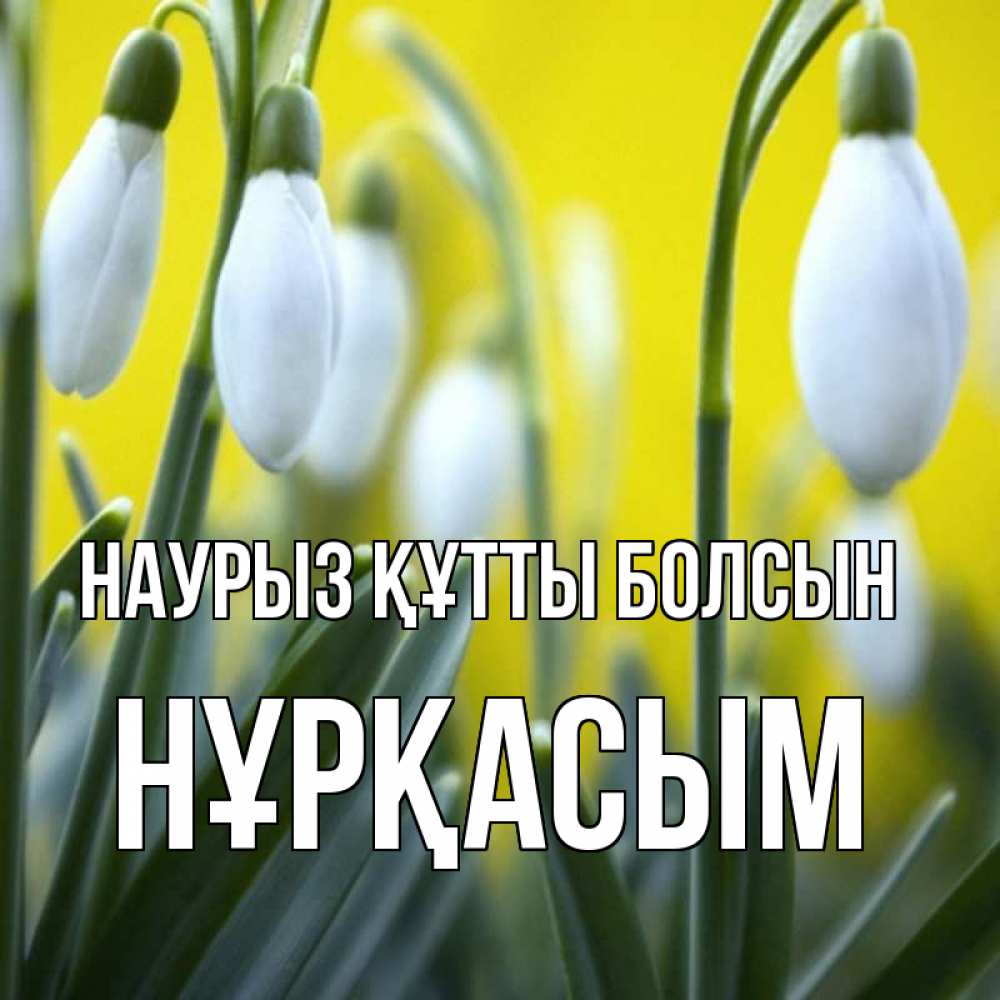 Күн сайын ашық хат с именем, НҰРҚАСЫМ Наурыз құтты болсын весенние цветы Онлайн тегін жүктеп алу тілектері бар керемет карта 