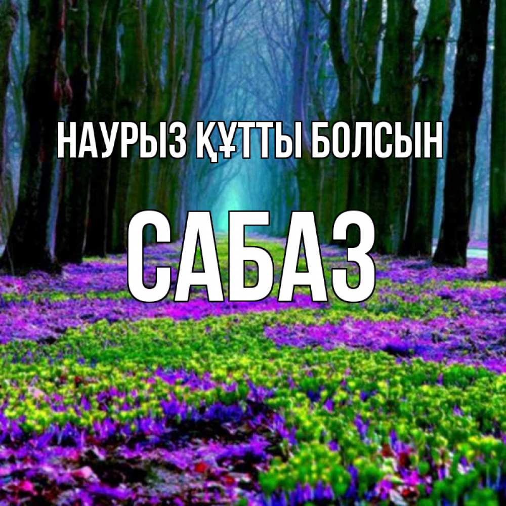 Күн сайын ашық хат с именем, САБАЗ Наурыз құтты болсын фиолетовые цветы в лесу 1 Онлайн тегін жүктеп алу тілектері бар керемет карта 