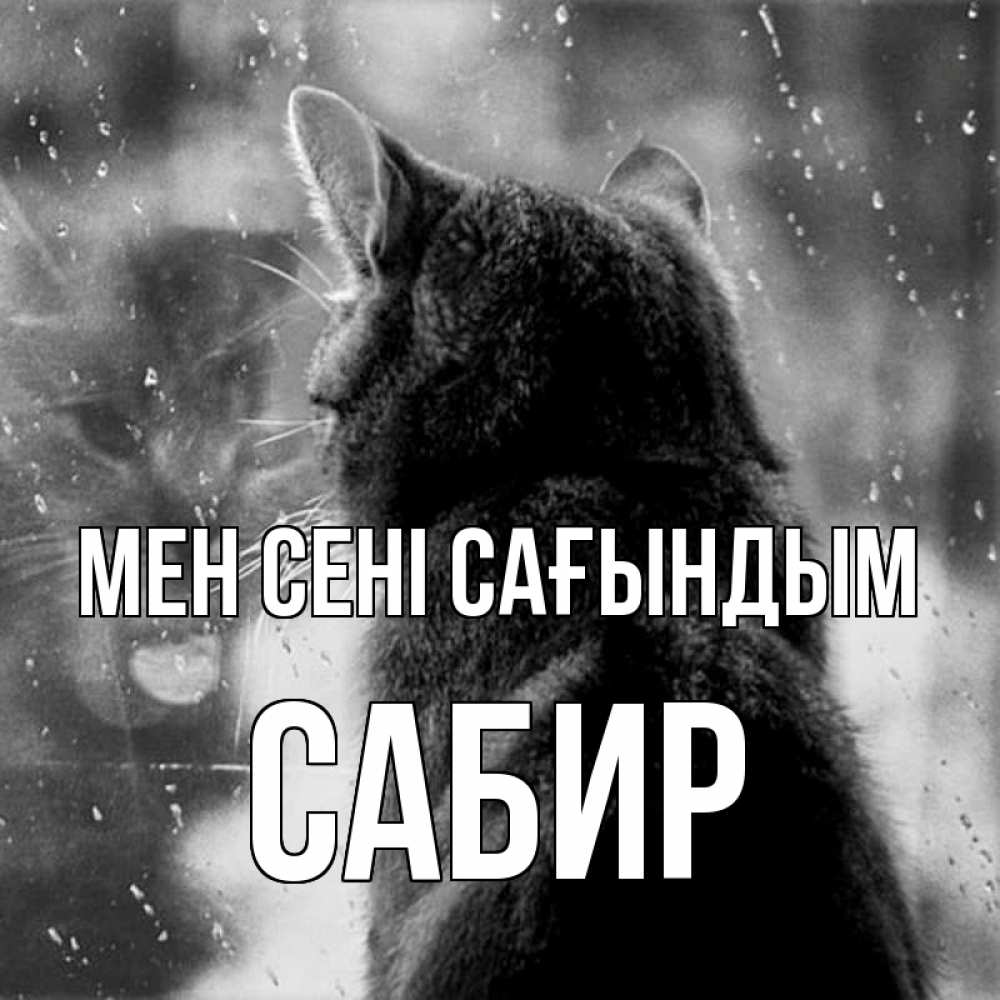 Күн сайын ашық хат с именем, Сабир Мен сені сағындым скорее ко мне приходи 1 Онлайн тегін жүктеп алу тілектері бар керемет карта 
