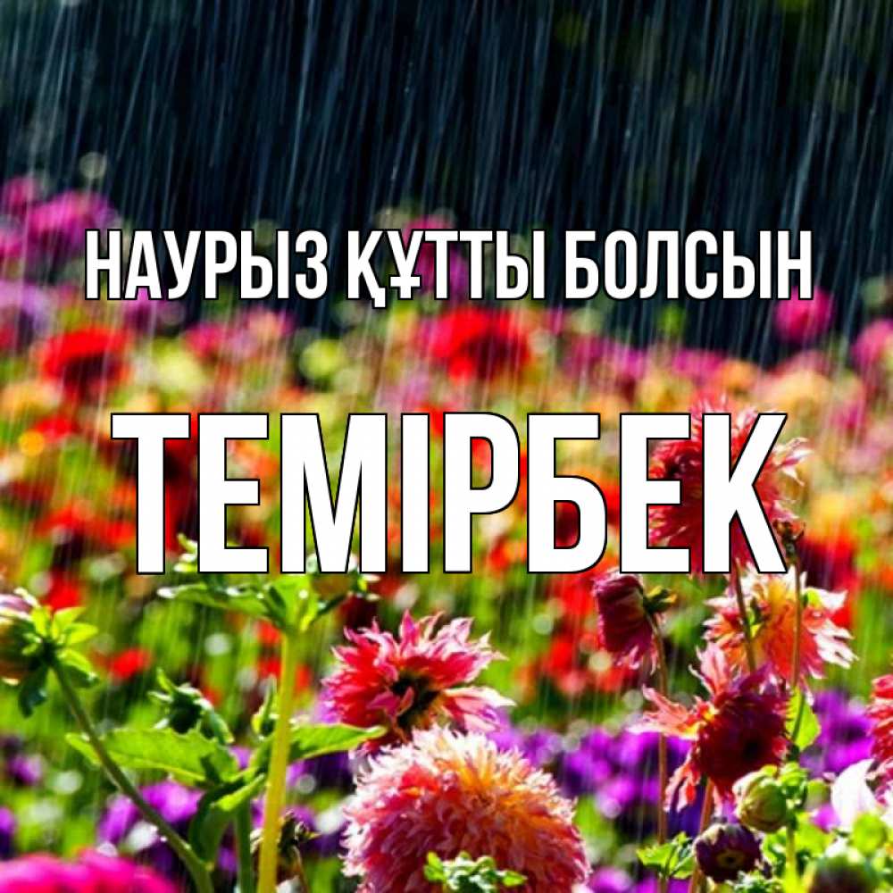 Күн сайын ашық хат с именем, ТЕМІРБЕК Наурыз құтты болсын цветы под дождиком к наурызу Онлайн тегін жүктеп алу тілектері бар керемет карта 