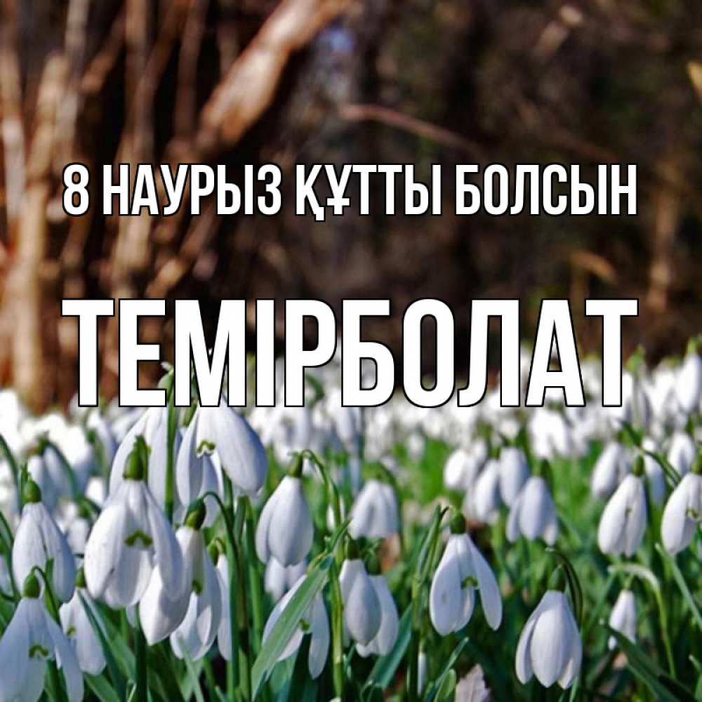 Күн сайын ашық хат с именем, ТЕМІРБОЛАТ 8 наурыз құтты болсын с подснежниками 1 Онлайн тегін жүктеп алу тілектері бар керемет карта 