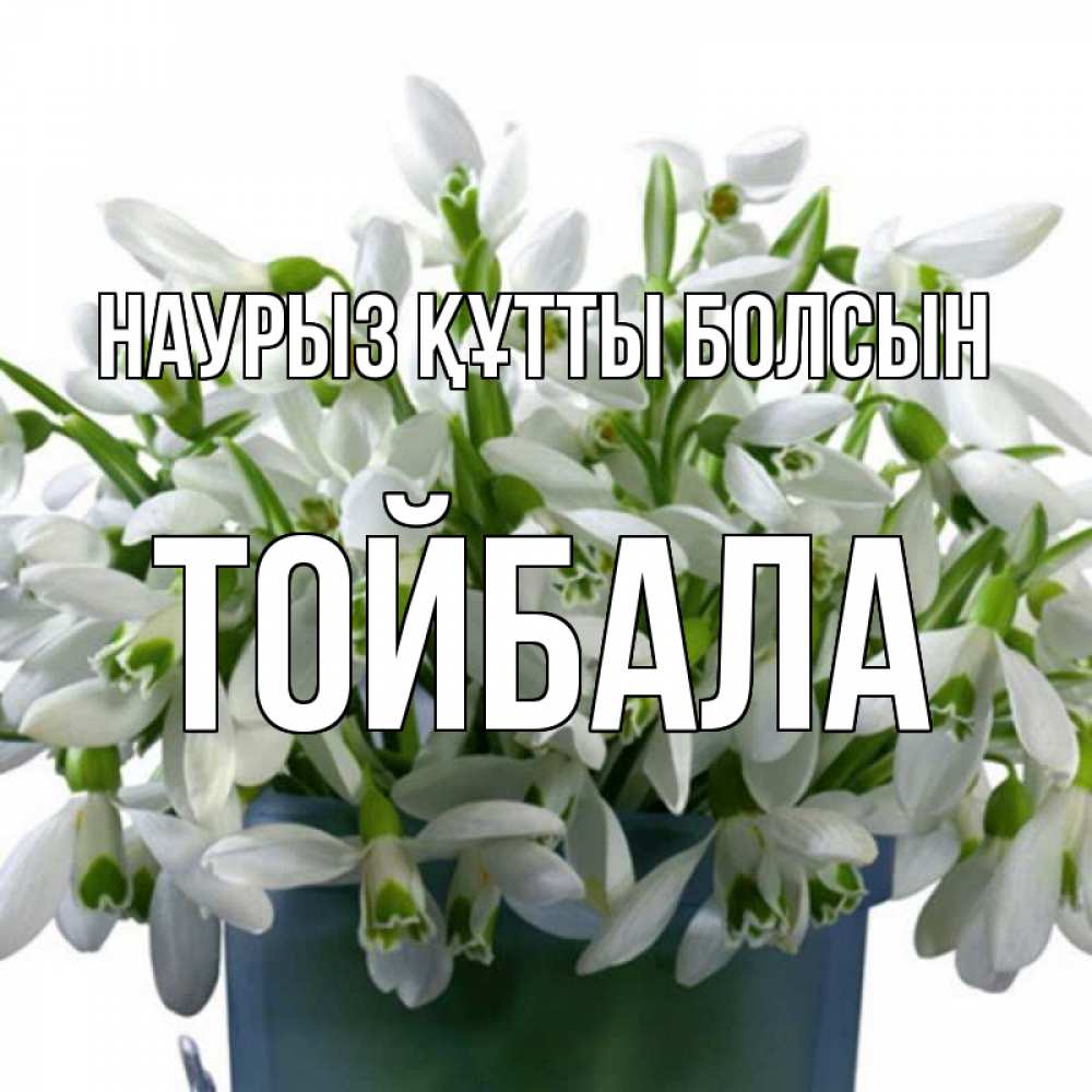 Күн сайын ашық хат с именем, ТОЙБАЛА Наурыз құтты болсын цветы к наурызу Онлайн тегін жүктеп алу тілектері бар керемет карта 